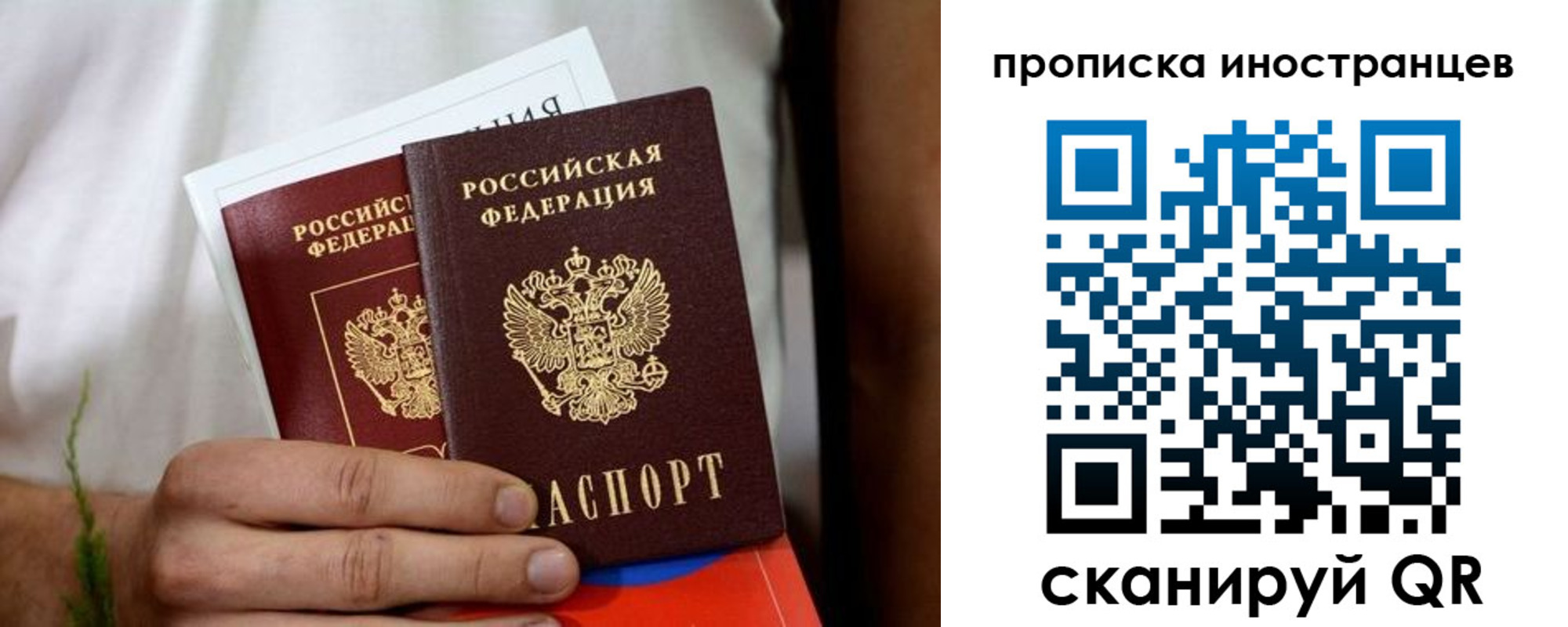 найти адрес прописки в Алексеевке